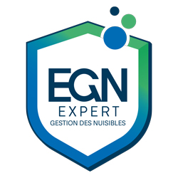 EGN-Expert